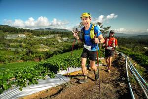 BIB: 
                            <button type="button" onclick="openModal(19125081)" class="btn btn-primary btn-sm float-right btn-popup" data-toggle="modal" data-target=".modal-high-quality">
                        <i class="fas fa-shopping-cart"></i> Add to Cart
                    </button>
                                            <button type="button" onclick="isThisMe(19125081, true)" class="btn btn-success btn-sm float-right btn-popup btn-isme hidden" data-toggle="tooltip" data-placement="bottom" title="นี่คือรูปของคุณใช่ไหม คลิกที่นี่เพื่อเอาเข้าอัลบั้ม">
                        <i class="fas fa-plus"></i> Add to album
                    </button>
                    <button type="button" onclick="isThisMe(19125081, false)" class="btn btn-warning btn-sm float-right btn-popup btn-isnotme hidden">
                        <i class="fas fa-ban"></i> Remove from album
                    </button>